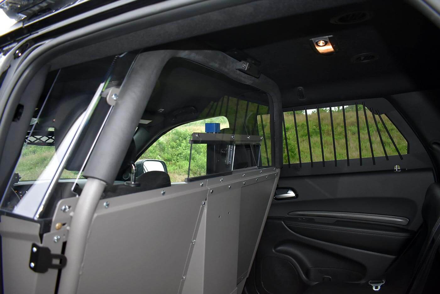 Rear cage partition and window guard